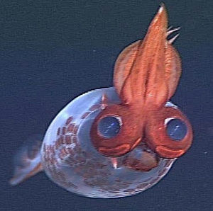 Meet your Posher, Sabrina